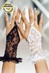 Перчатки кружевные короткие SoftLine Collection, белый, S/L 770720 - Секс шоп в Челябинске, интернет магазин интимных товаров | Мулен Руж