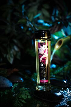 Масло для массажа Shunga Amour «Sweet Lotus», возбуждающее, 240 мл. 1023 - Секс шоп в Челябинске, интернет магазин интимных товаров | Мулен Руж