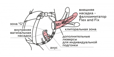 ФАЛЛОИМИТАТОР НА ТРУСИКАХ "HARNESS" L 172 мм D 37 мм / L 128 мм D 38 мм (LESBIAN SERIES) арт. 838803 - Секс шоп в Челябинске, интернет магазин интимных товаров | Мулен Руж